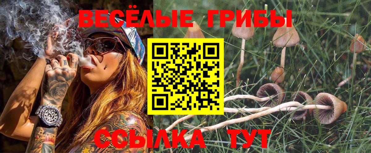 Новоуральск  Псилоцибиновые грибы Psilocybe  как найти   Вход с VPN 